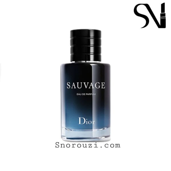 عطر ادکلن دیور ساواج-ساوج-ساواژ | Dior Sauvage 100ml